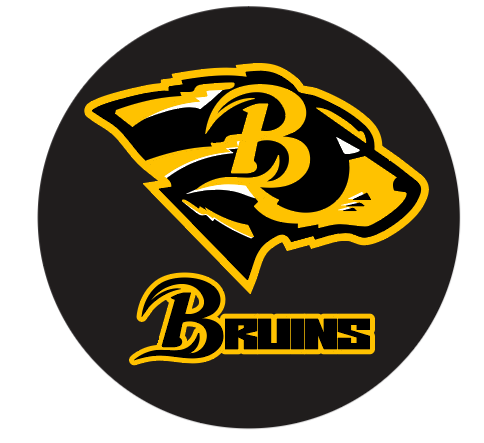 JSL Pucks