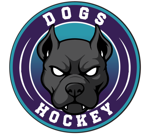JSL Pucks