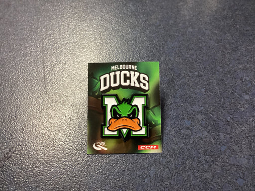 Metal Ducks logo pin
