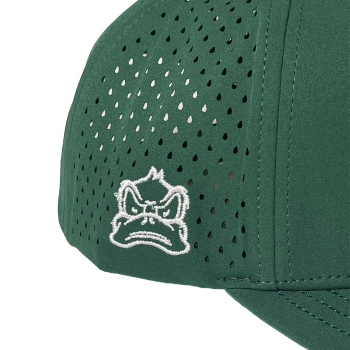 Ducks Snapback Hat (Green)